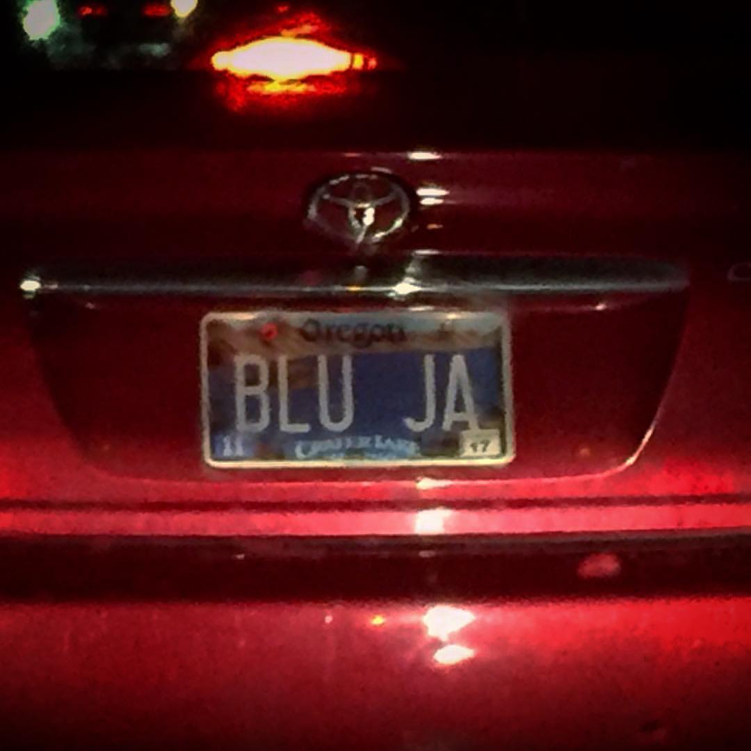 BLU JA Plate
